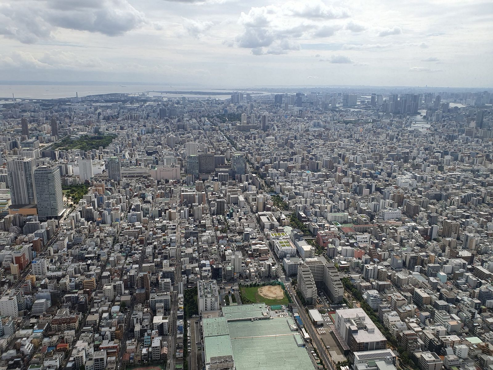 Video - Skytree 2025