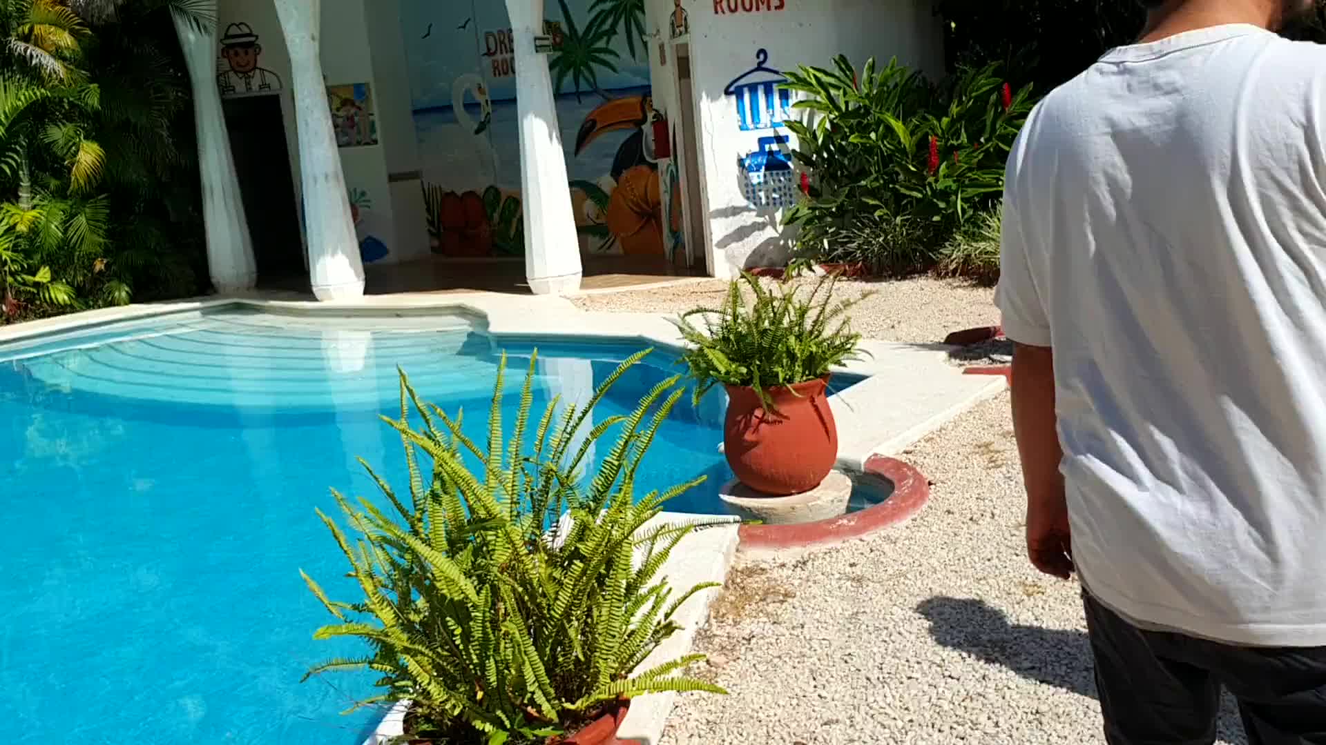 Video - Chichen Itza 2025