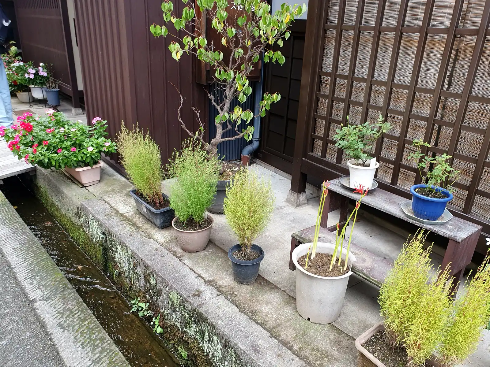 Takayama-Historisches Viertel