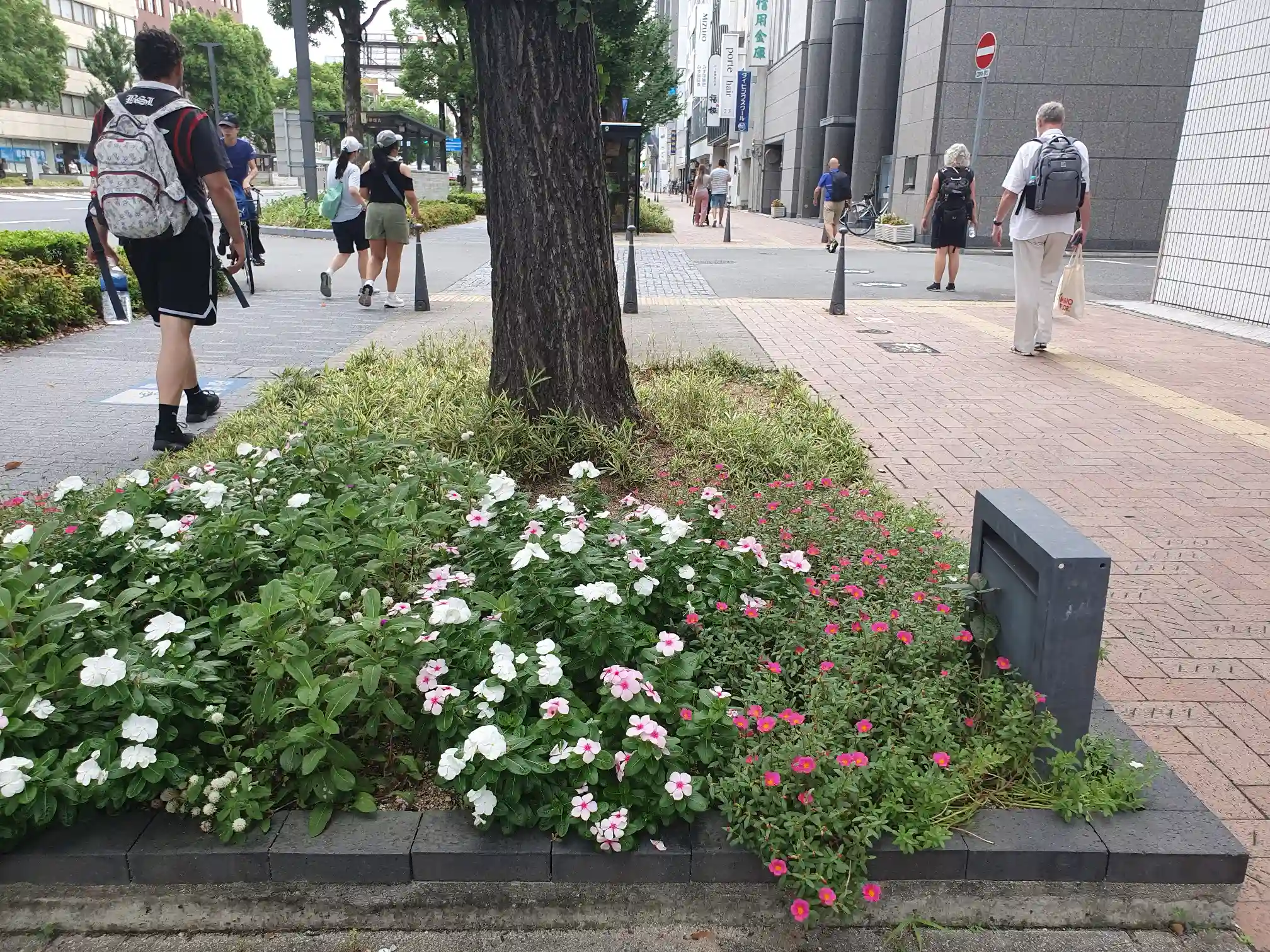 <img alt="" src="/user/pages/tecartmedia/japan/himeji/himeji/20250920_094727.webp?title" />