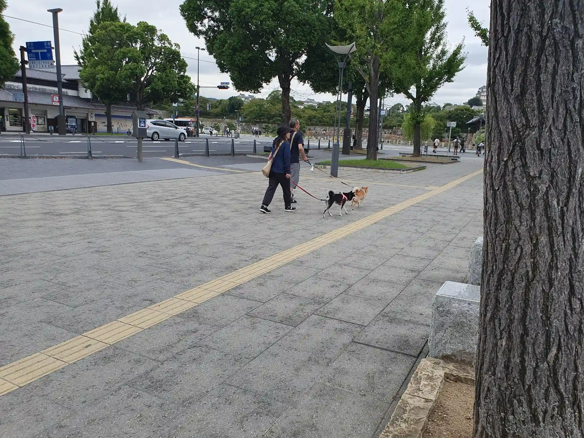 <img alt="" src="/user/pages/tecartmedia/japan/himeji/himeji/20250920_101226.webp?title" />